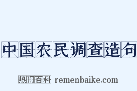 中国农民调查造句是什么意思的图片